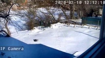 Относительно похожая ситуация,но сейчас лед.