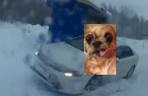 Водитель встречной фуры не справился с управлением