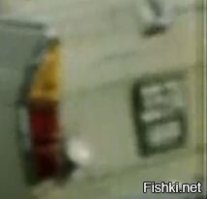 Разводняк, в фильме "Гараж" стоял Москвич с номером 35-74, видно плохо, но 100% первая цифра номера совсем не "50"