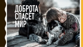 Видео: сахалинские рыбаки спасают новорожденного тюленя