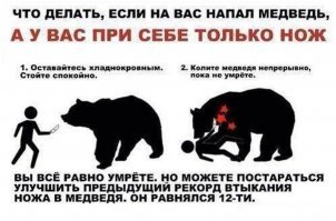Как охотнику без ружья повезло уцелеть в смертельной схватке с медведем-шатуном