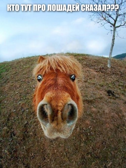 20 ретро-фото потрясающих женщин, которыми мы восхищаемся