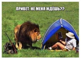 Прикольные и смешные картинки