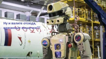 Прикольные и смешные картинки