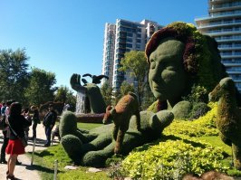 Фотоподборка