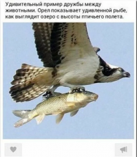 Картинки с надписями