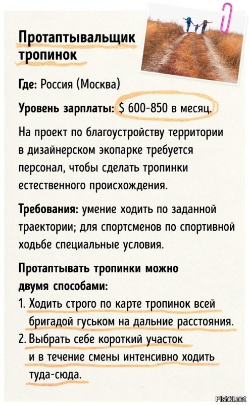 Где Феникс