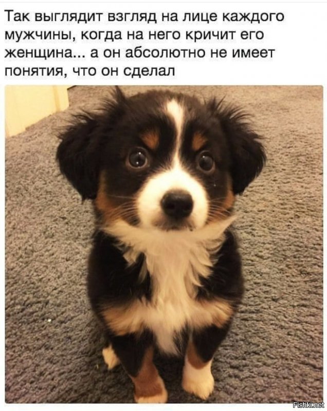 Солянка от 12.02.2020