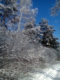 Фотоподборка