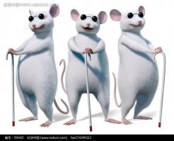 Всё в разнобой