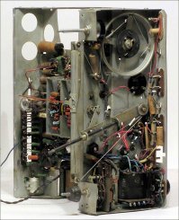 Потроха  "звезды"