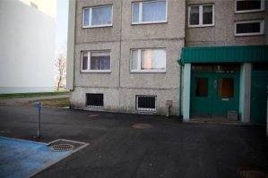 У нас многие дома старые из панелей с каменной крошкой. Белки прямо по ним ползают без всяких труб и деревьев.