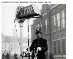 Вообще-то, это Голландия ))) В остальном, всё так...

"Verkeersagent bij STOP-bord met twee hazen. Van de Ford-Service kregen de verkeersagenten die regelmatig op de drukste punten het verkeer regelden met kerst een haas aangeboden voor het kerstmaal. Den Haag, 22 december 1939" (с)