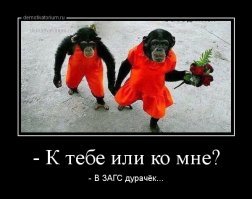 Как принцесса Шри-Ланки нашла своё русское счастье