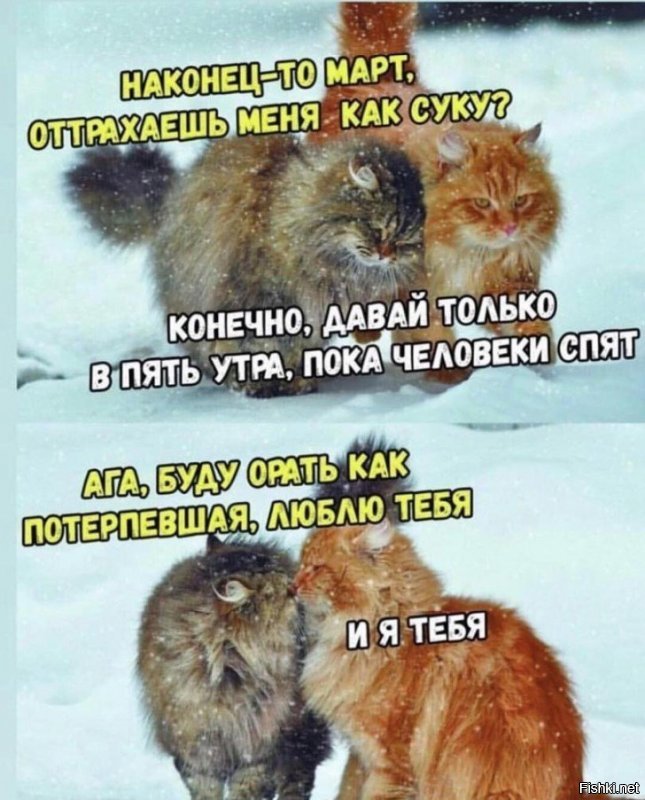 Васильев день, звериные свадьбы