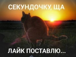 Одна из самых резонансных девушек-блогеров в рунете в прямом эфире и без цензуры