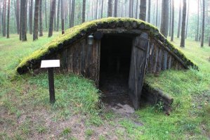 Не надо отрываться от корней,и гнаться за заморскими новинками