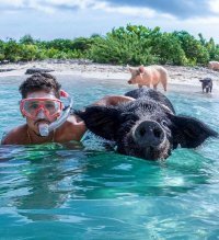 Билан,это ты?!.. ))