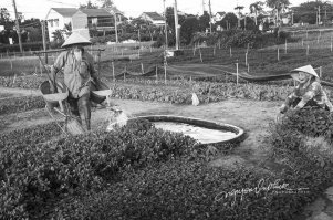 Пистец у деда лейка! 
Лайфхакер <span style='color:gray'>[мат]</span>!