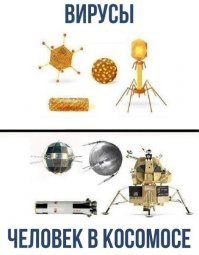 Социалистические Штаты Америки