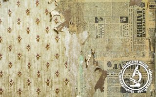 Фотографий увлекательных вещей, найденных внутри других вещей