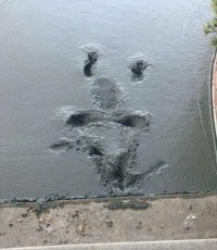 Гигантская лягуха упала? ))))