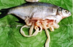 Бывают и не такие приятные "подарки"