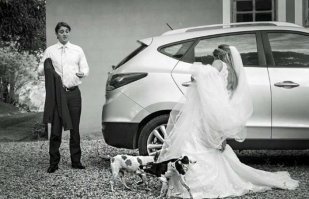 Не мешайте собакам ходить в туалет! Или почему владельцы не следят за собаками на прогулке?