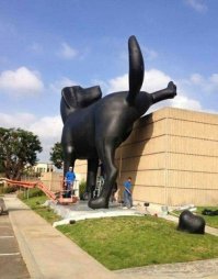 Не мешайте собакам ходить в туалет! Или почему владельцы не следят за собаками на прогулке?