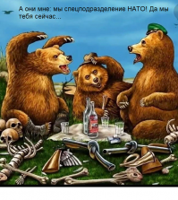 Пятеро военных НАТО во время учений потерялись в литовских лесах