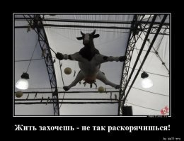 Комментарии в разных группах к постам