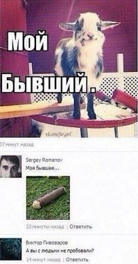 Женская сущность: вся суть девушек, подсмотренная в переписках