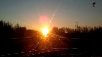 Авария дня. В Красном Селе погибла пассажирка "Шкоды"