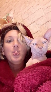 вот мой добрячок с ласковым взглядом ))) порода канадский сфинкс. они обалденные!