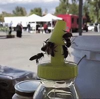 Как говорил Кузьмич: "Тут не далеко. Своё забрать."