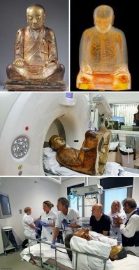 Победитель игры в прятки 1020 года.