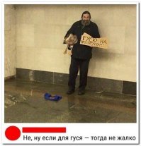 Если гуся задушить, можно на проститутку не тратиться.