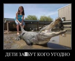 Всё в разнобой
