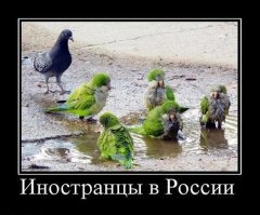 Прикольные и интересные картинки