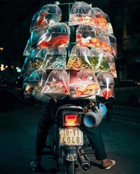 Верно, аквариумные и пудовые рыбки.