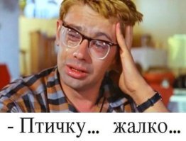 Орланы и беркут устроили охоту на утку