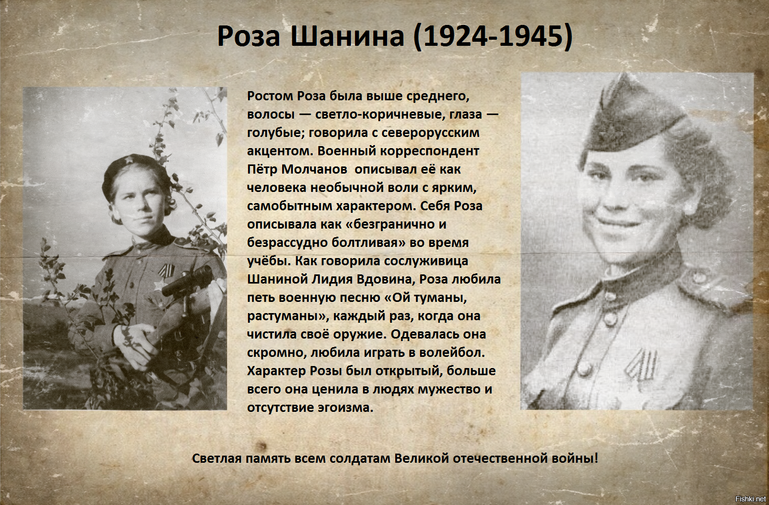 Роза Егоровна Шанина 1924 1945 Советский одиночный снайпер