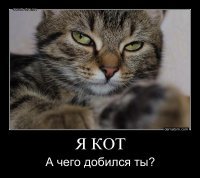 Прикольные и интересные картинки