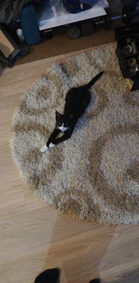 Примерно так же)