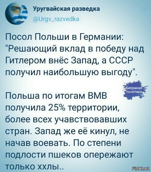 не, не опережают. по тупости - запросто.  а вот по подлости - курвы польские впереди планеты всей...