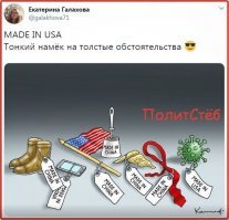 Боги Конституции и коронавирус !!!