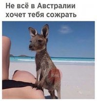 Просто готовится вызвать в октагон...