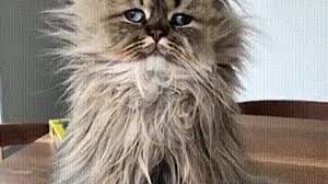 это ты к чему вообще?