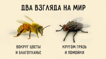 везде по разному, у нас в школе нормально кормят и контролируют.