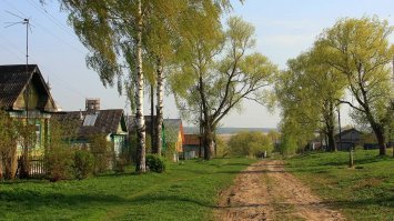 Но ведь если это деревня то дома не должны стоять вплотную к дороге, как правило есть придомовая территория которая принадлежит государству. Конечно исключения бывают, но очень редко. Обычно это самозахват.